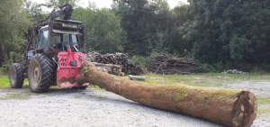 Oak from our woods is converted on site